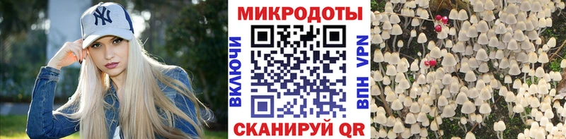 Псилоцибиновые грибы Psilocybe Грозный