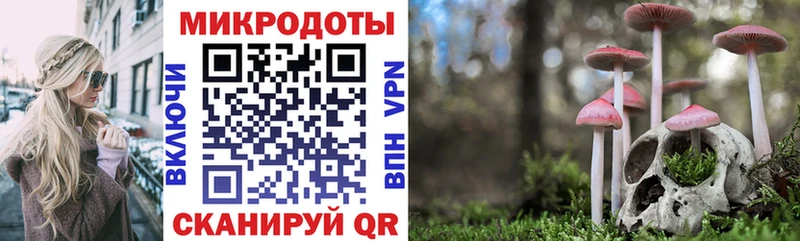 Псилоцибиновые грибы Psilocybe Грозный