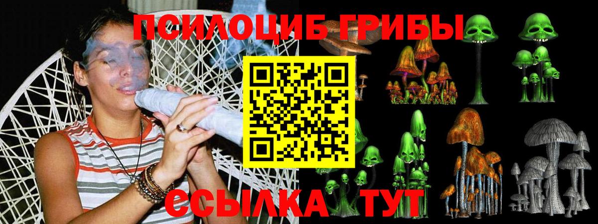 Псилоцибиновые грибы прущие грибы  Вход с VPN  Грозный 